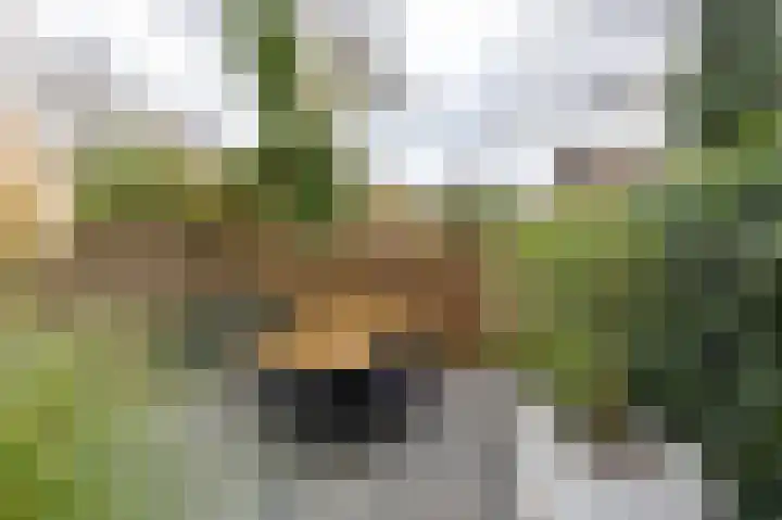 Kajuit 12 Groningen thumbnail 46