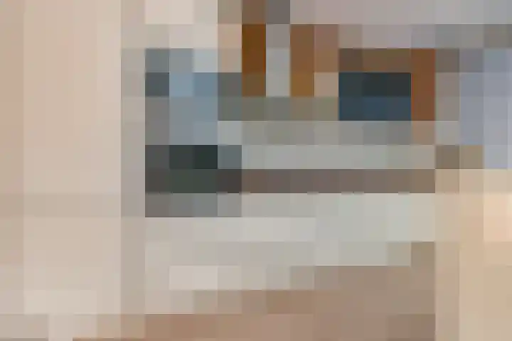 Kajuit 15 Almere thumbnail 12