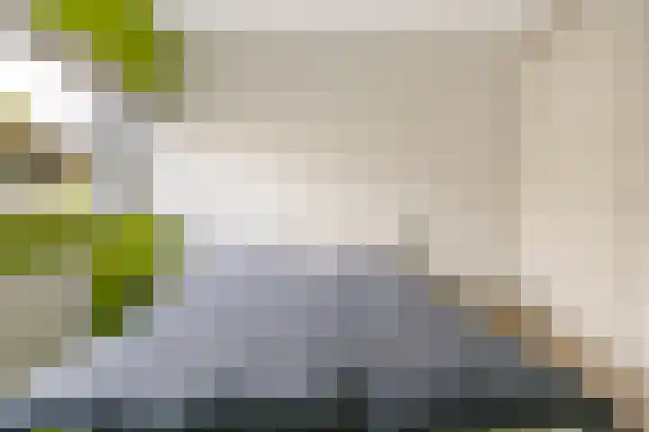 Kajuit 15 Almere thumbnail 33