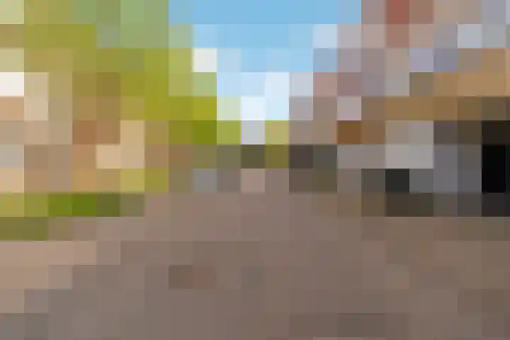 Kajuit 15 Almere thumbnail 47