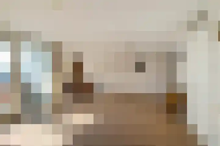 Kajuit 166 c Groningen thumbnail 10