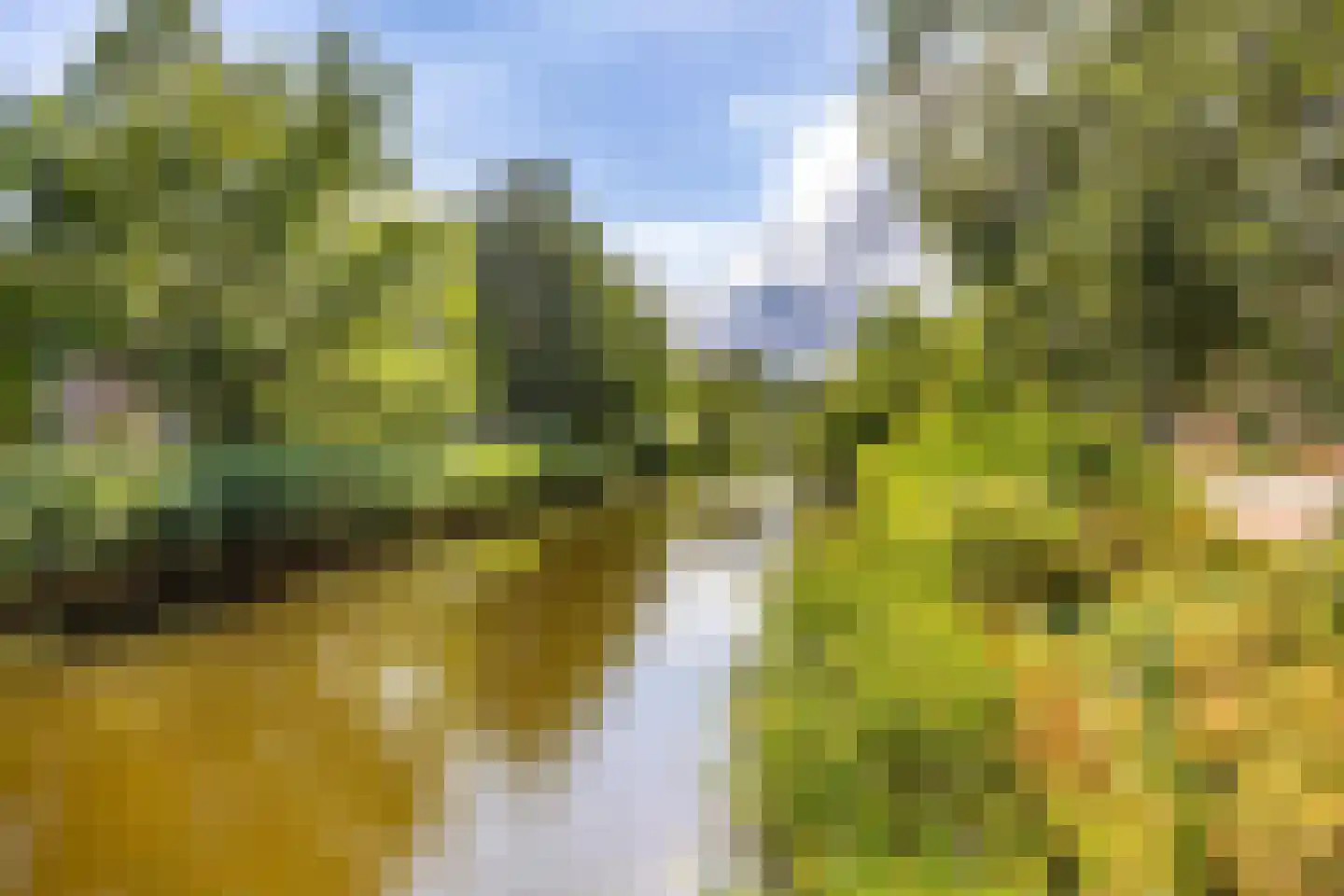 Kajuit 166 f Groningen thumbnail 30