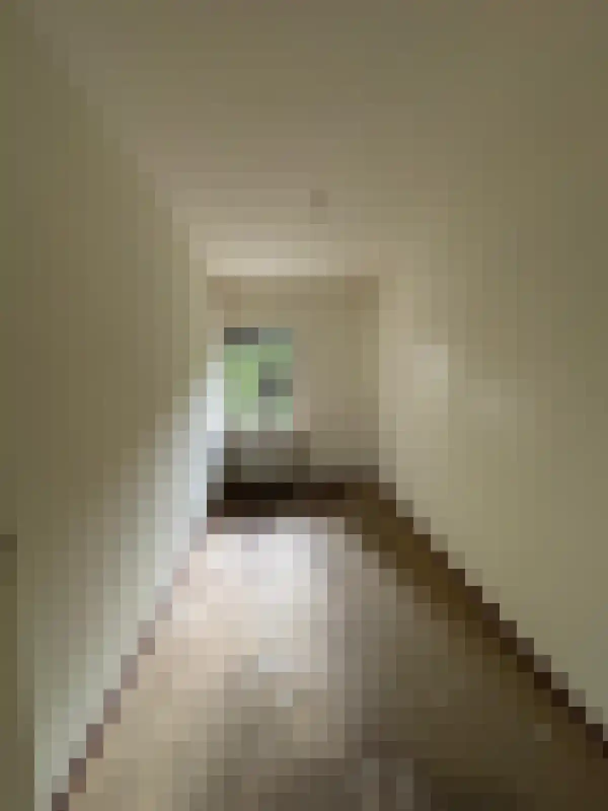 Kajuit 200 Groningen thumbnail 5