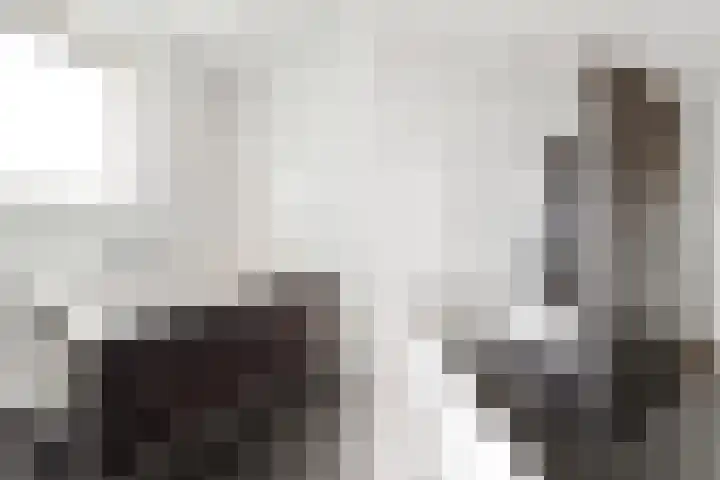 Kajuit 22 Nijkerk thumbnail 18