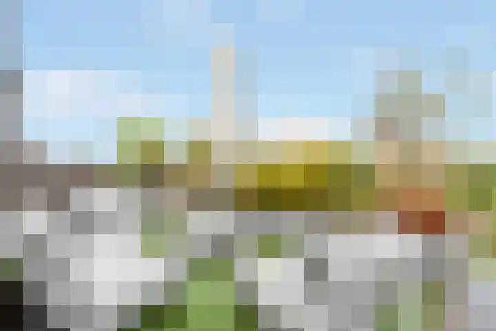 Kajuit 22 Nijkerk thumbnail 23
