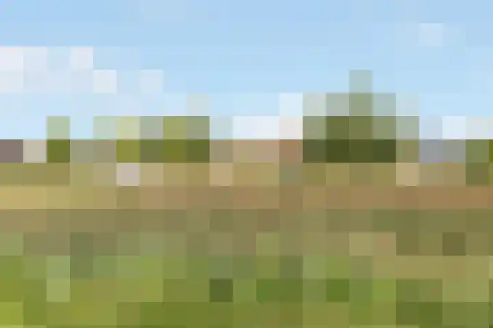 Kajuit 22 Nijkerk thumbnail 28