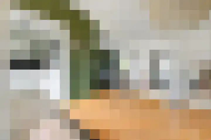 Kajuit 24 Huizen thumbnail 10
