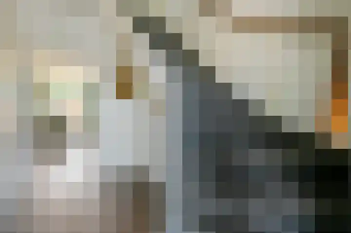 Kajuit 24 Huizen thumbnail 15