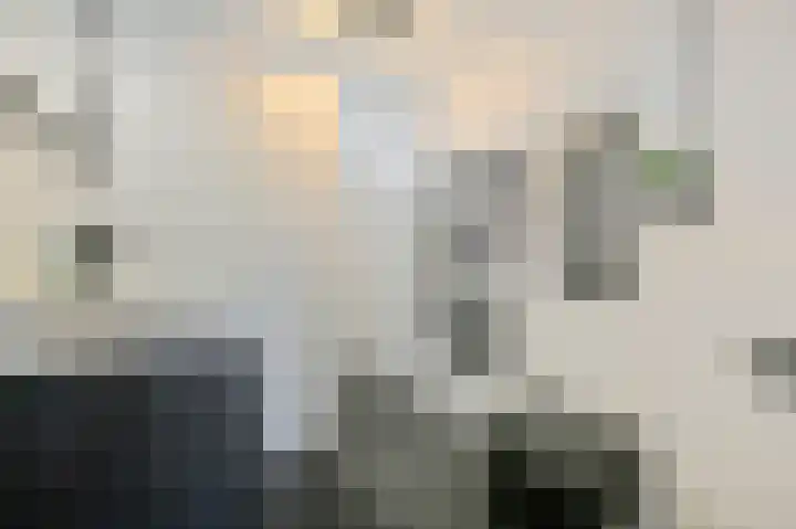 Kajuit 24 Huizen thumbnail 18