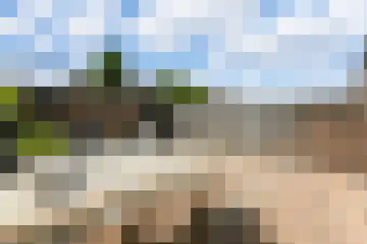 Kajuit 24 Huizen thumbnail 30
