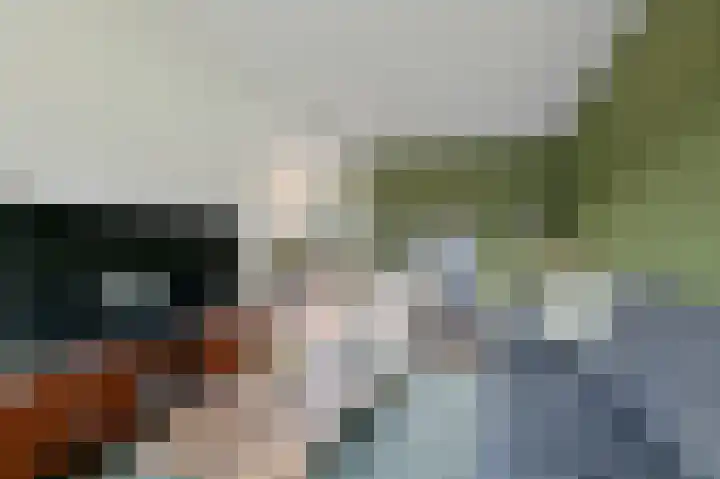 Kajuit 24 Huizen thumbnail 6