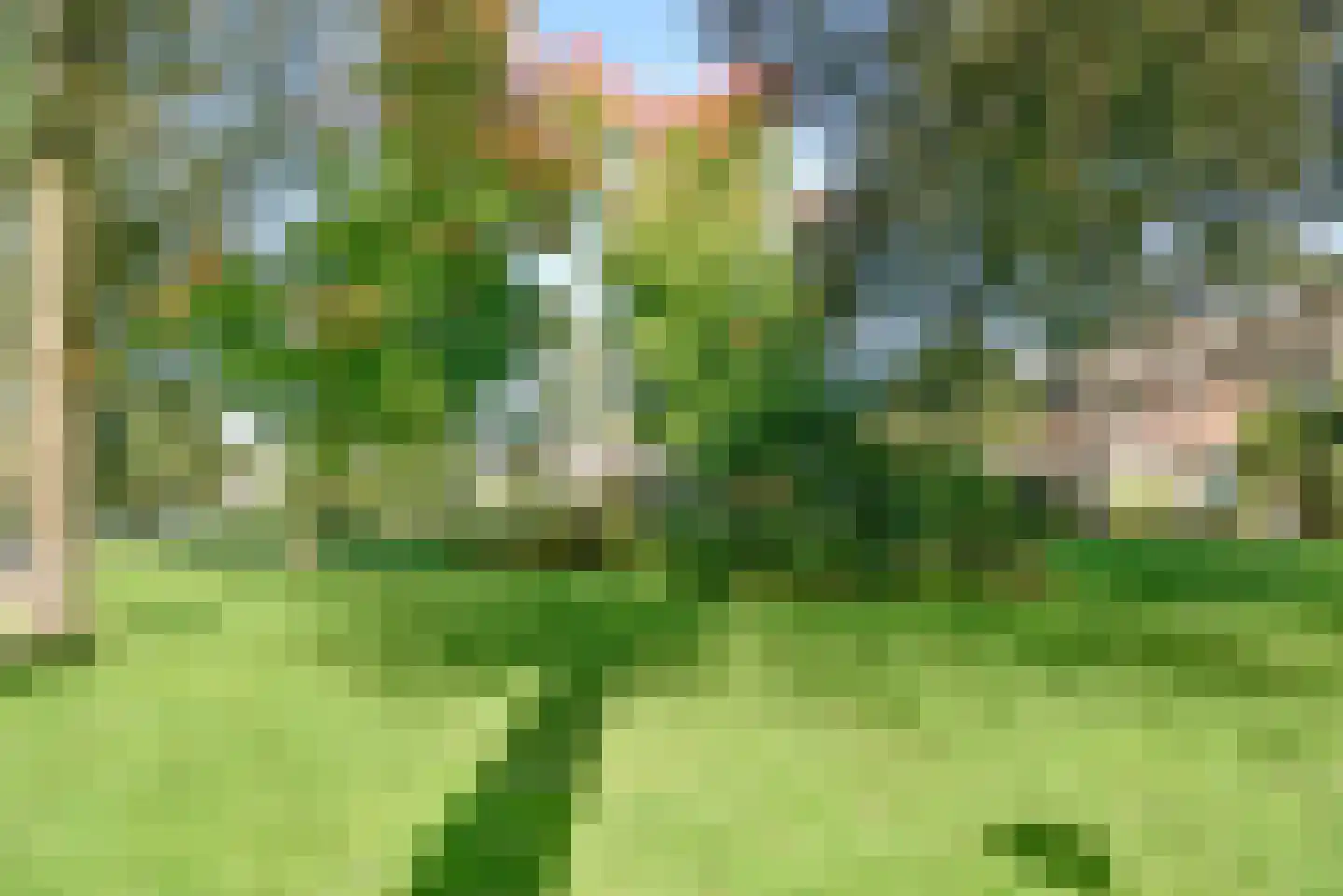 Kajuit 3 Huizen thumbnail 20