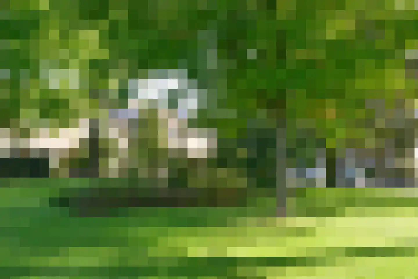 Kajuit 3 Huizen thumbnail 22