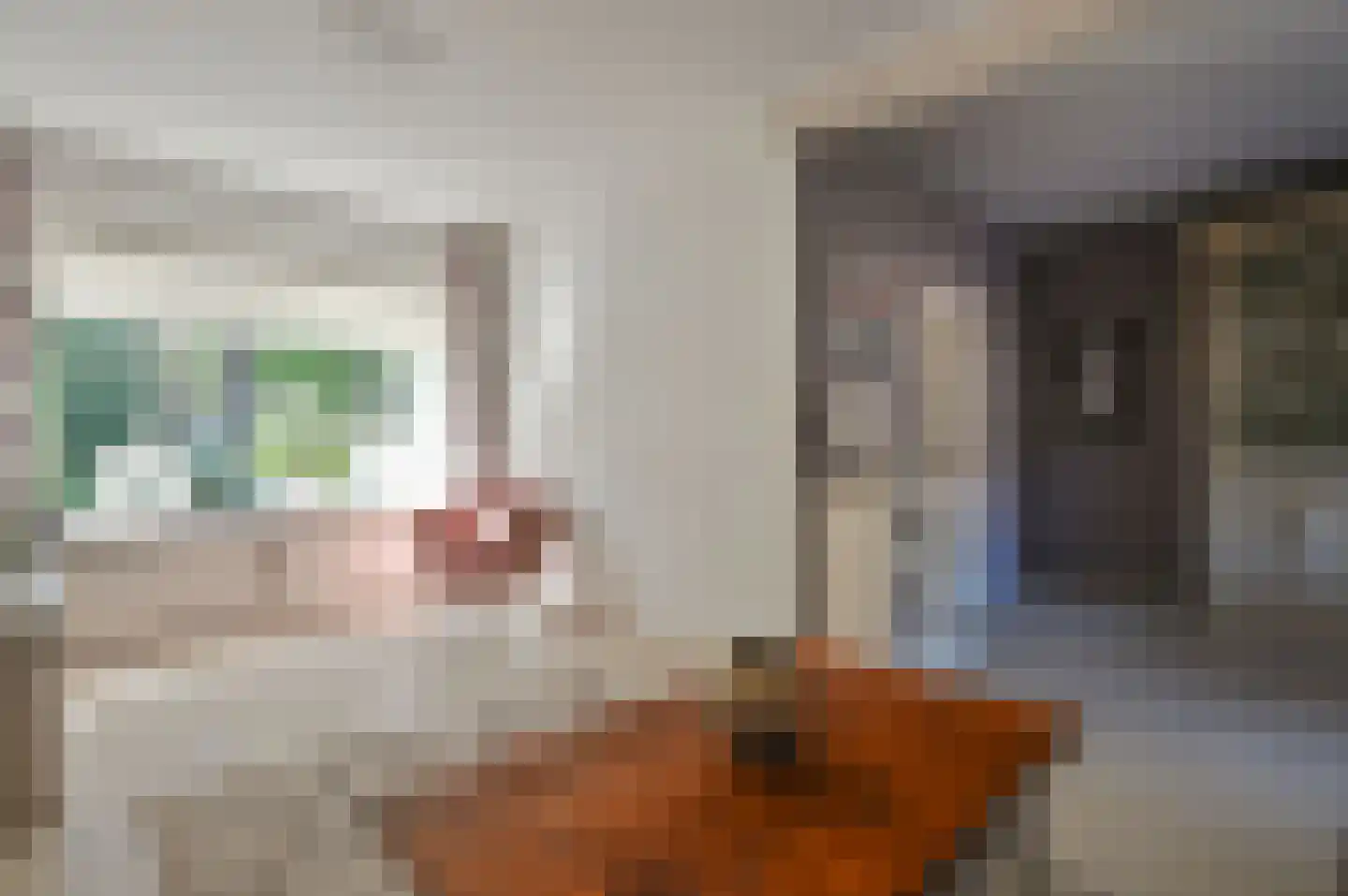 Kajuit 3 Huizen thumbnail 6