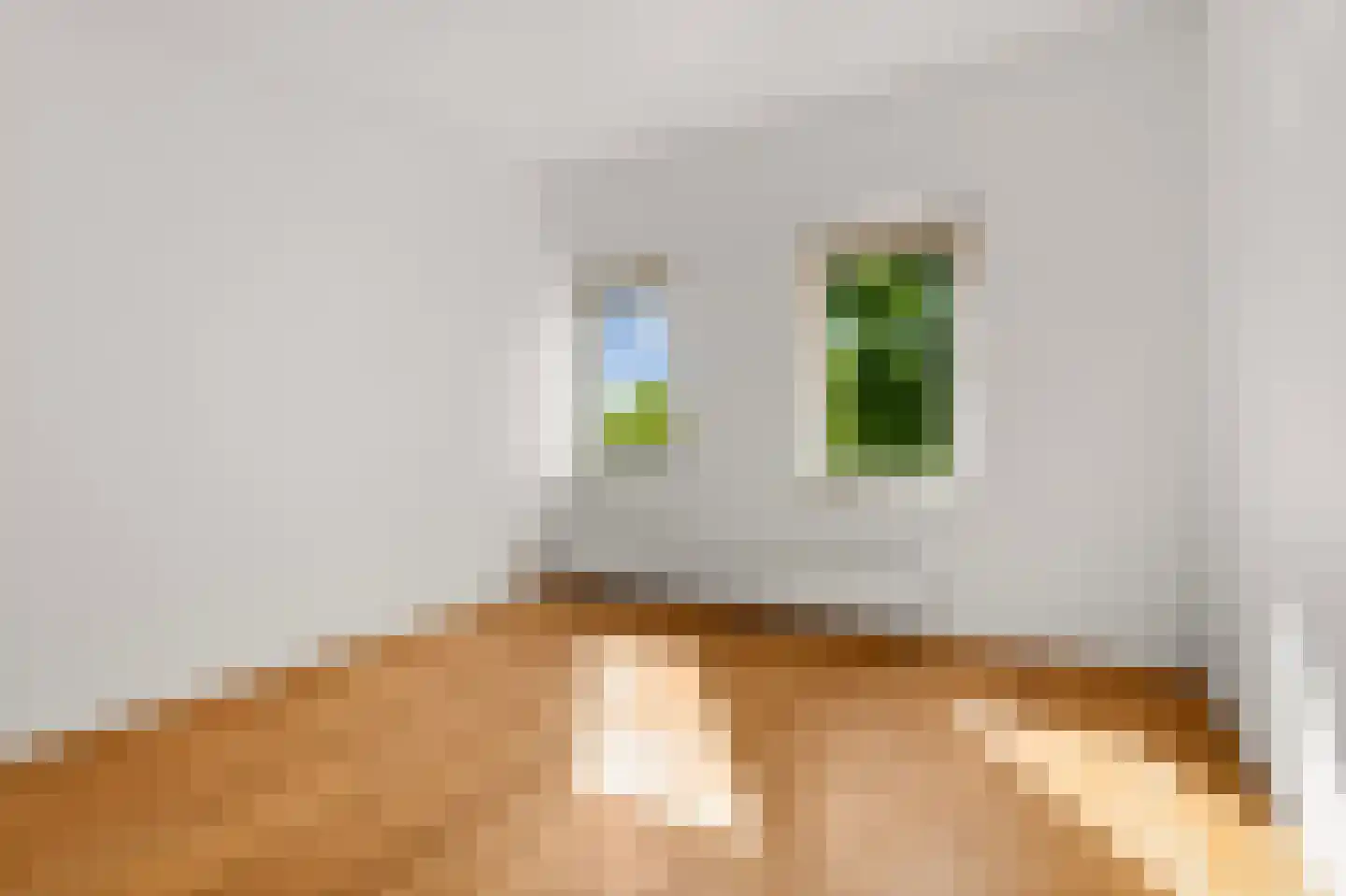 Kajuit 6 Almere thumbnail 37
