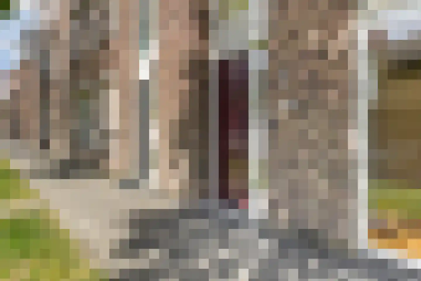 Kajuit 6 Almere thumbnail 9