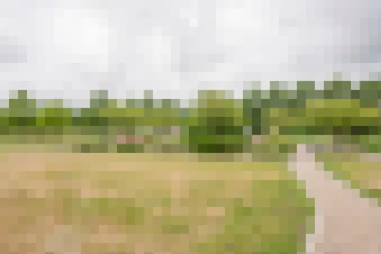 Kajuit 79 Nijkerk thumbnail 40