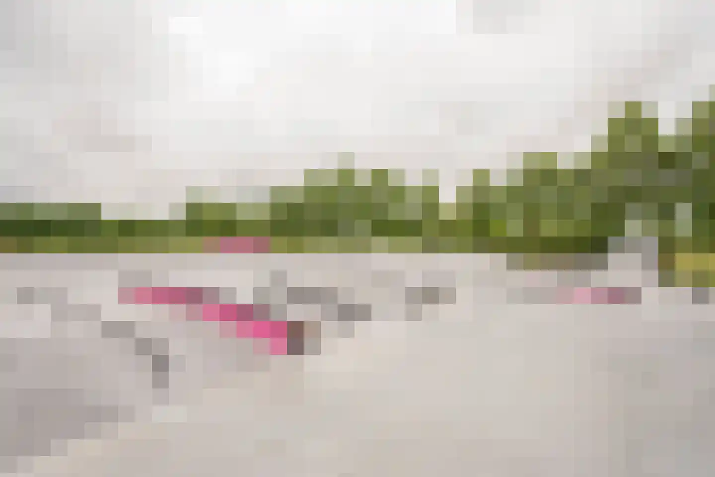 Kajuit 79 Nijkerk thumbnail 44