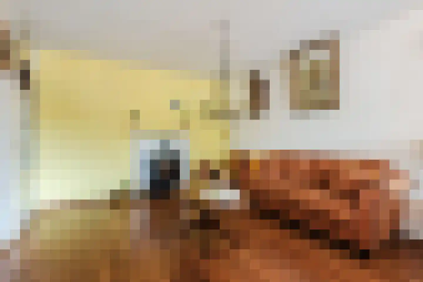 Kajuitmeen 20 Harderwijk thumbnail 13