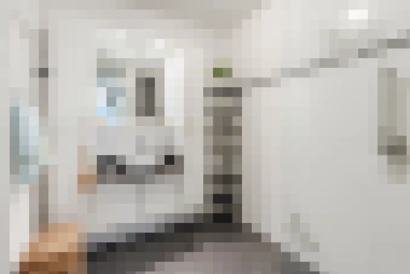 Kajuitmeen 20 Harderwijk thumbnail 22
