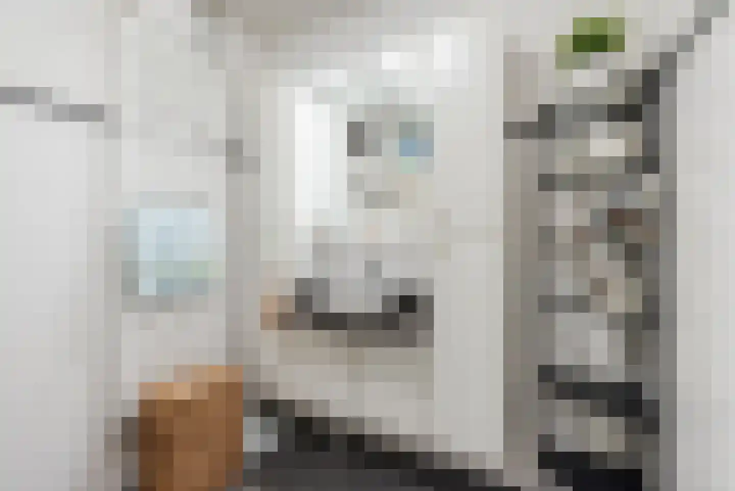 Kajuitmeen 20 Harderwijk thumbnail 24