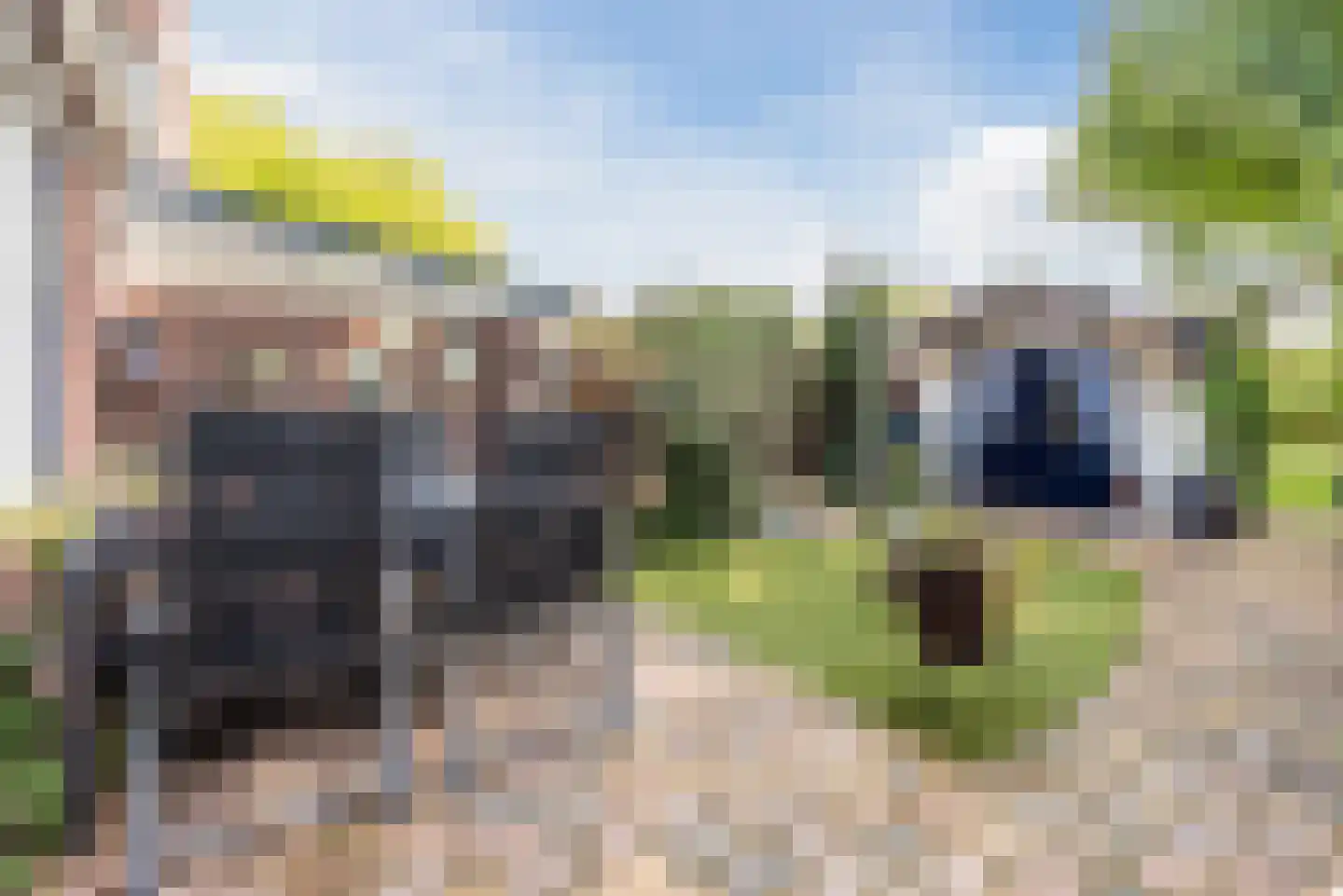 Kajuitmeen 20 Harderwijk thumbnail 34