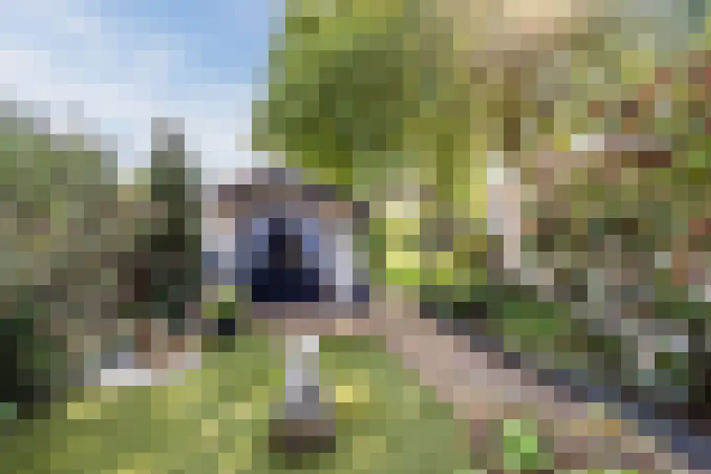 Kajuitmeen 20 Harderwijk thumbnail 35