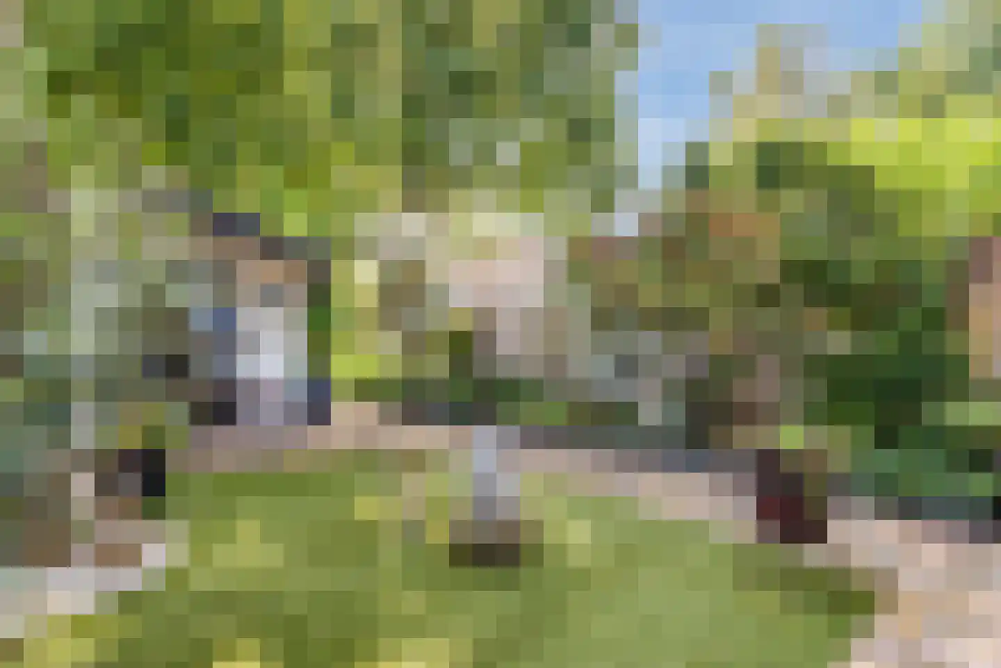 Kajuitmeen 20 Harderwijk thumbnail 4
