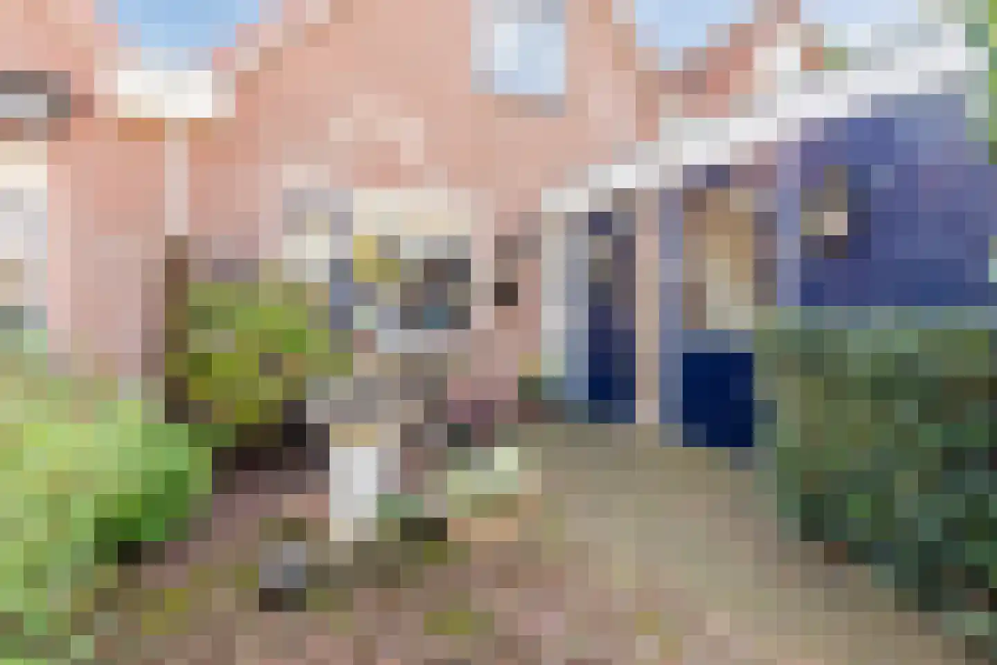 Kajuitmeen 20 Harderwijk thumbnail 5