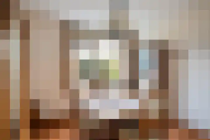 Kajuitmeen 47 Harderwijk thumbnail 17