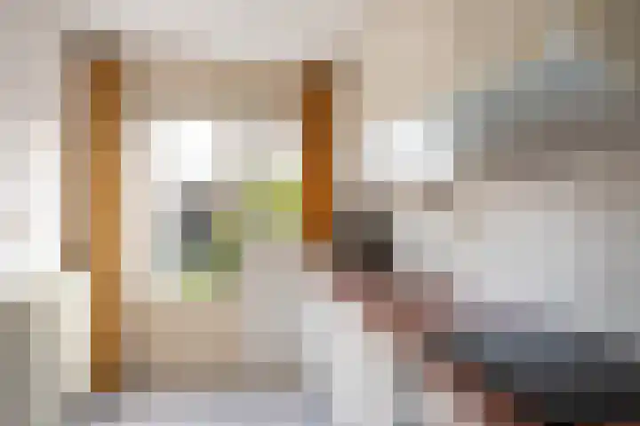 Kajuitmeen 47 Harderwijk thumbnail 20