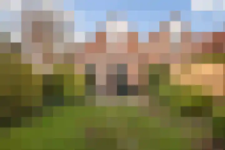 Kajuitmeen 47 Harderwijk foto 3
