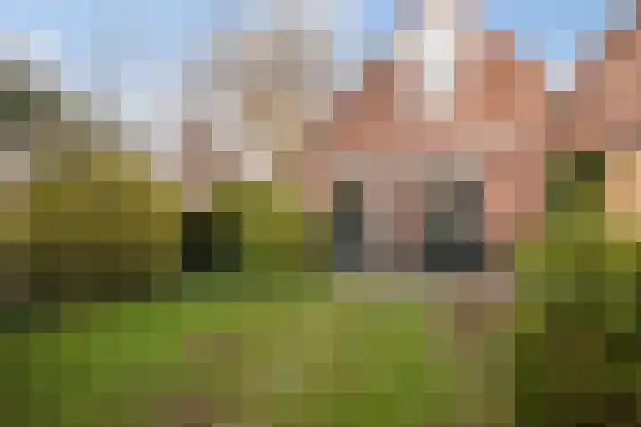 Kajuitmeen 47 Harderwijk thumbnail 36