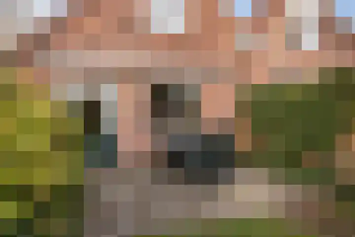 Kajuitmeen 47 Harderwijk thumbnail 37