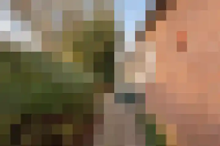 Kajuitmeen 47 Harderwijk thumbnail 39
