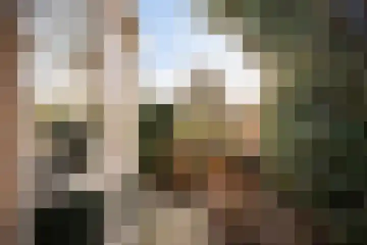 Kajuitmeen 47 Harderwijk thumbnail 40