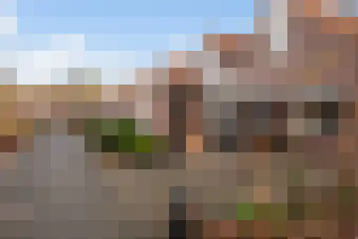 Kajuitmeen 47 Harderwijk thumbnail 41