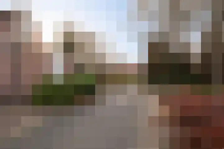Kajuitmeen 47 Harderwijk thumbnail 42