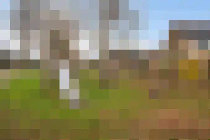 Kajuitmeen 47 Harderwijk thumbnail 45