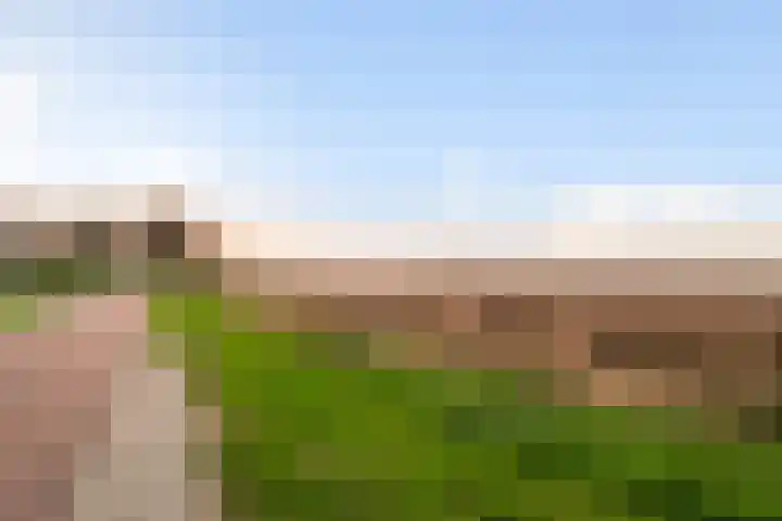 Kajuitmeen 47 Harderwijk thumbnail 46