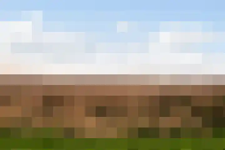 Kajuitmeen 47 Harderwijk thumbnail 47