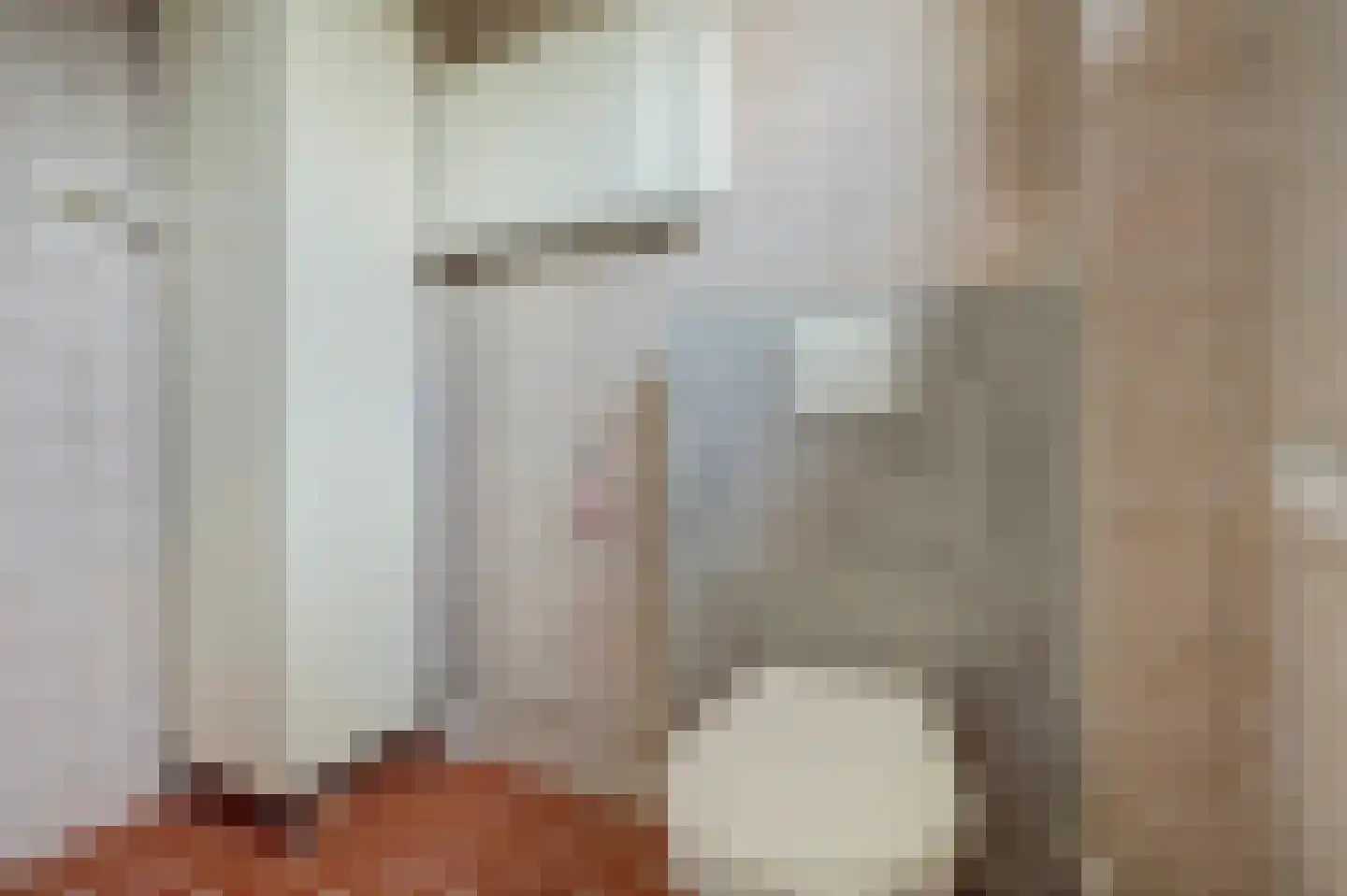 Kakebeen 1 Krimpen aan de Lek thumbnail 20