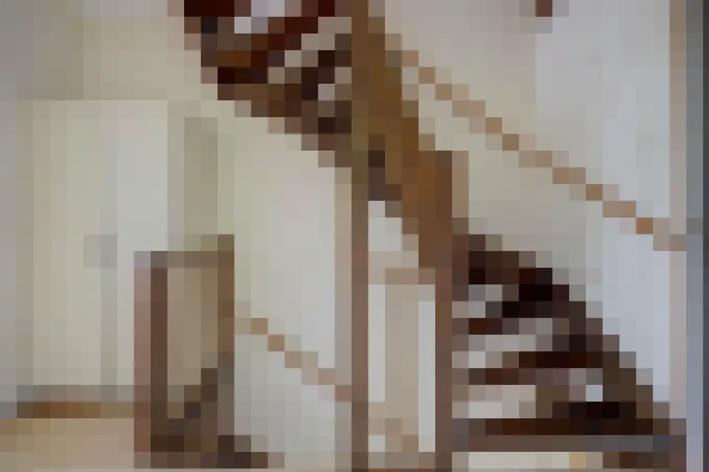 Kakebeen 1 Krimpen aan de Lek thumbnail 25