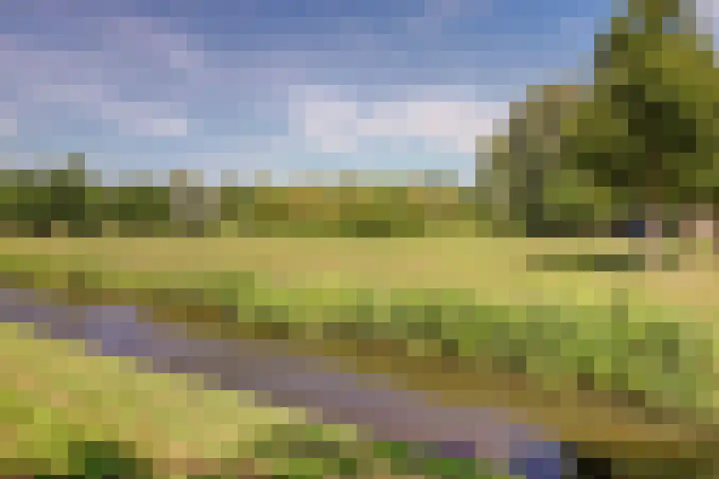 Kakebeen 1 Krimpen aan de Lek foto 3