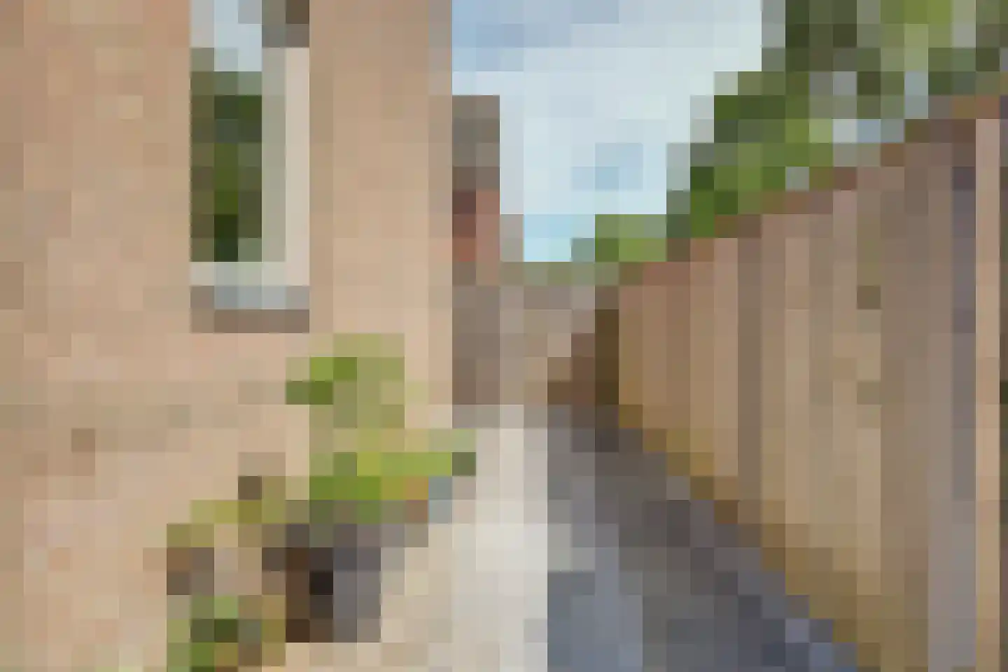 Kakebeen 1 Krimpen aan de Lek thumbnail 36