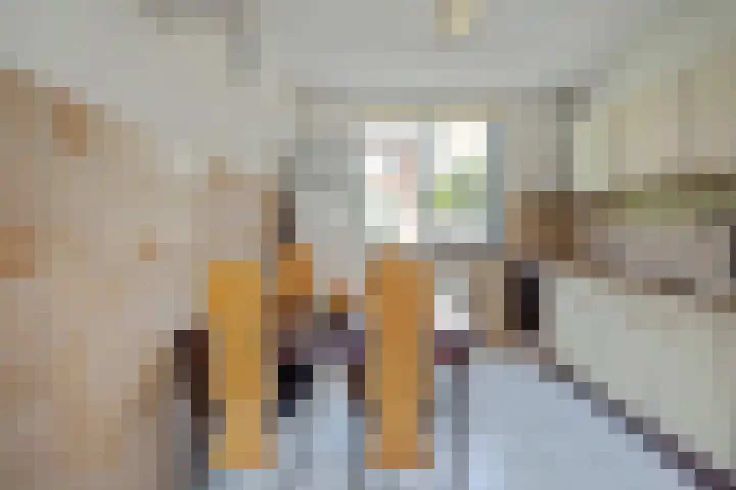 Kakebeen 1 Krimpen aan de Lek thumbnail 9