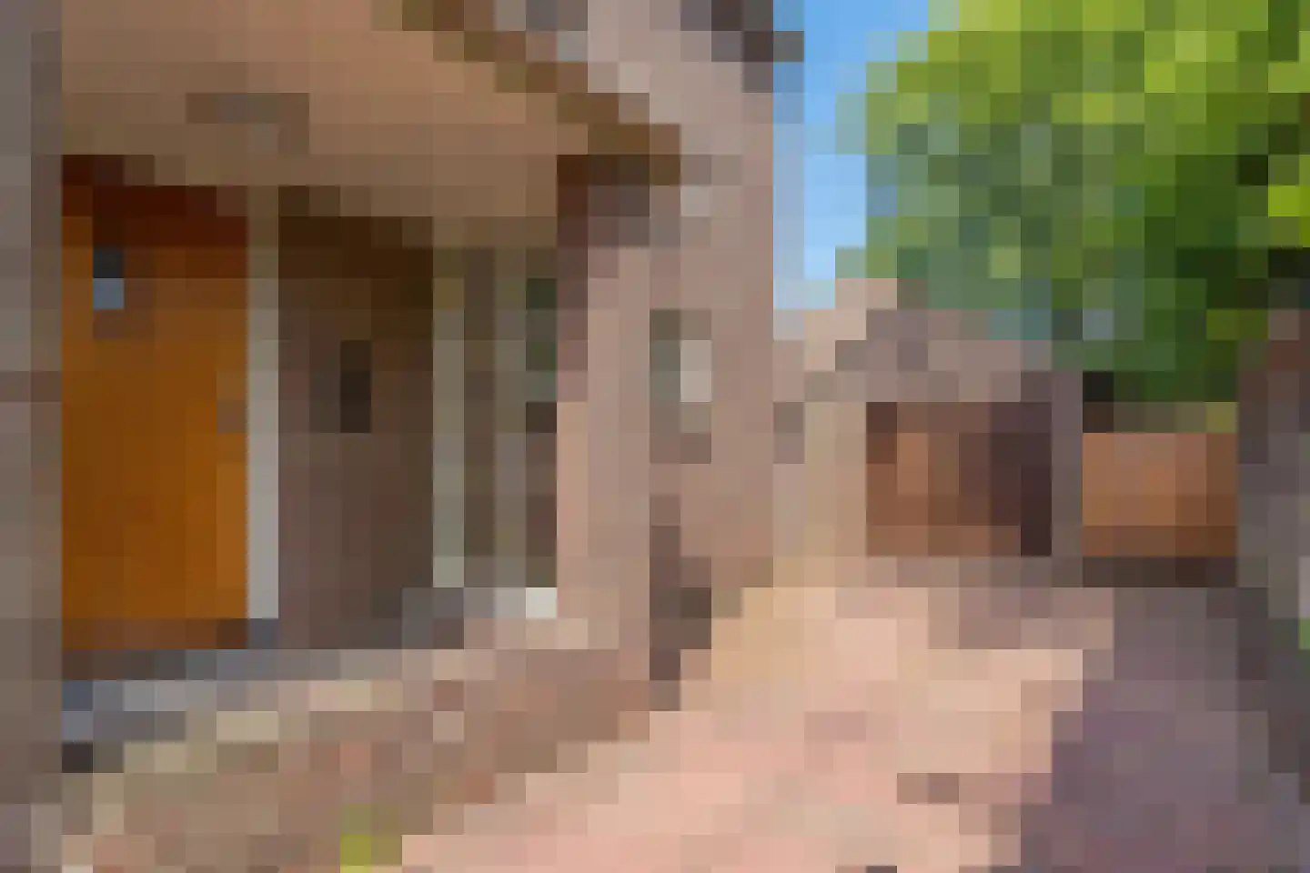 Kakertsweg 5 Landgraaf thumbnail 4