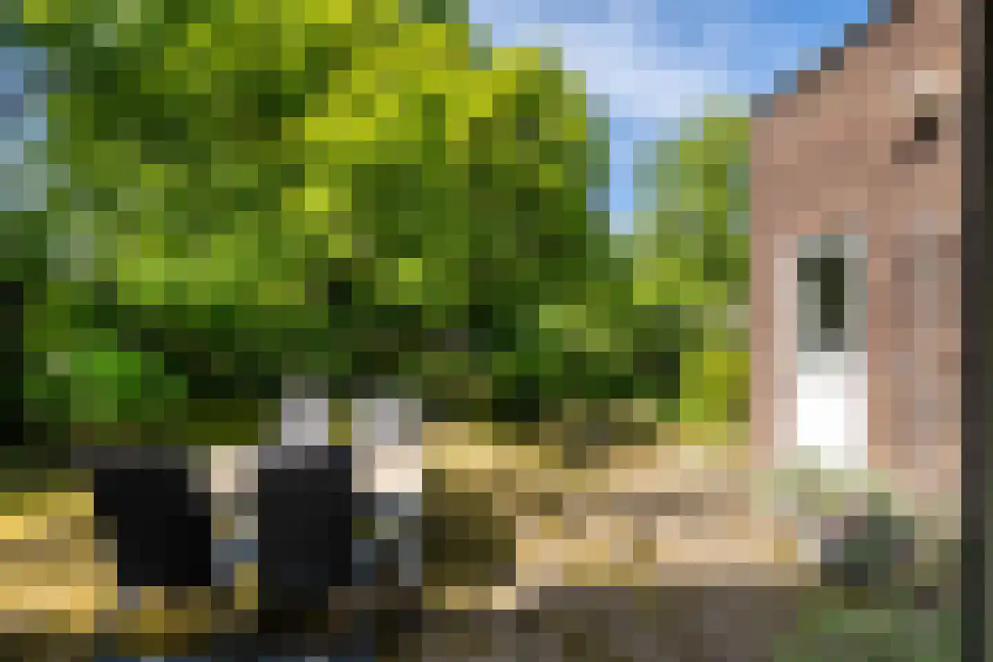 Kakertsweg 7 Landgraaf thumbnail 31