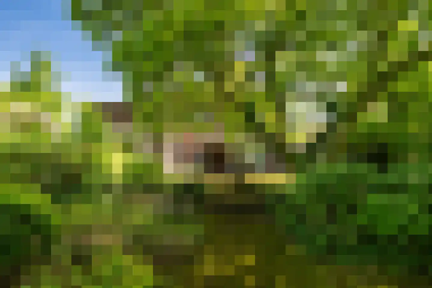 Kakertsweg 7 Landgraaf thumbnail 32