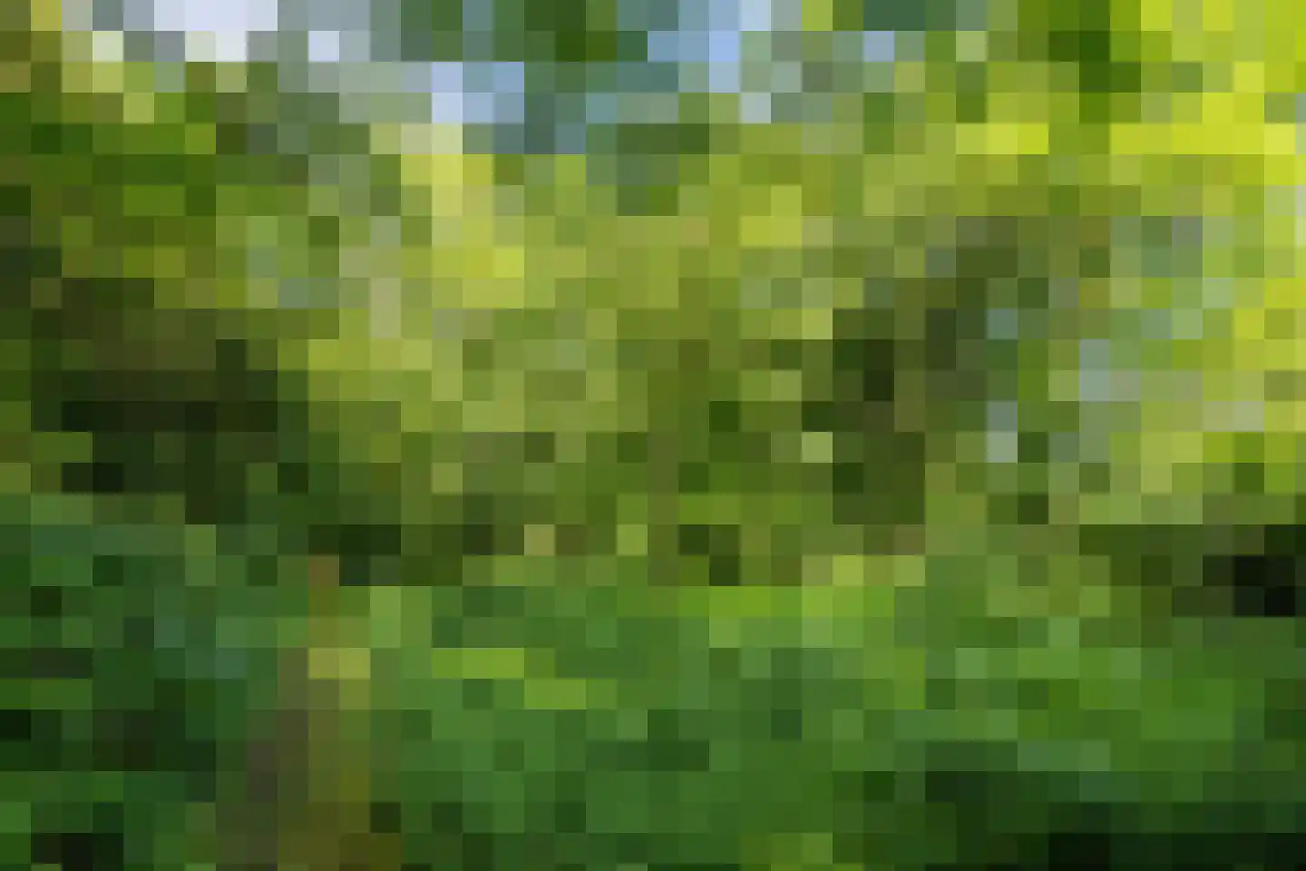 Kakertsweg 7 Landgraaf thumbnail 33